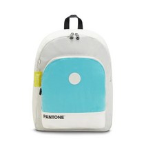 백팩 커티스 L 팬톤 블락 KMCBA23 PTBO 227967