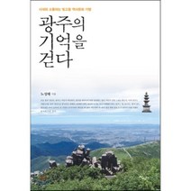 광주의 기억을 걷다:시대와 소통하는 빛고을 역사문화 기행, 살림터, 노성태 저