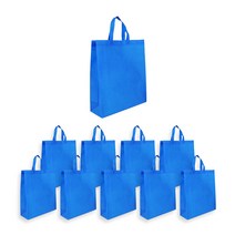 에클리츠 단색 부직포 가방 쇼핑백 (대) 학원가방, 10개입, 블루