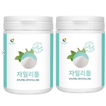 자일리톨 분말 가루 400g 핀란드산 파우더 천연 감미료 가글 양념 설탕 대용 대체 대신 식품 첨가용 자작나무추출 양치용 차 커피 첨가 타먹는 음식 요리 활용 레세피, 2병