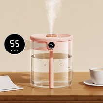 고성능 2L LCD 습도 디스플레이 더블 노즐 공기 가습기 가정 침실 용 대용량 아로마 에센셜 오일 디퓨저, [02] A2- Humidity Display