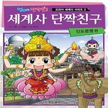[개똥이네][중고-중] 세계사 단짝친구 - 인도문명 편