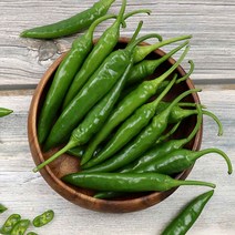 [햇땅] 국산 청양고추 150g내외봉 합포장가능, 단품