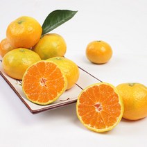 제주도 노지 귤 제주도 감귤 제주 감귤 제철 노지귤 3kg 3개입, 10kg 중대 3개