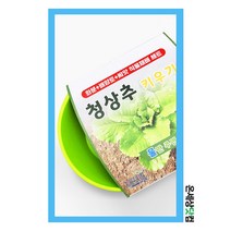 청상추키우기 / 식물재배세트 상추씨앗 화분 상추키우기
