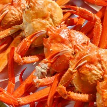 [선주직송] 감성먹거리 자숙 연지 홍게 10마리 대게 게 대게철 수율보장 구룡포, 명품소 홍게 10마리