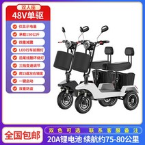 전기 삼륜차 가정용 소형 접이식 전기차 미니 2인승 배터리차 경량 성인 보행기 112241, 48V, 싱글 드라이브[48V]20A 리튬배터리/2인승/방범/약, 싱글 드라이브[48V]20A 리튬배터리/2인승/방범/약