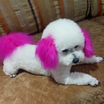애완용품 애완동물 펫 색상염색제 강아지 염색약 퇴색 개털 표류함 하얀가루 누렁이 제거 때 핑크 가다 4716224572, 커피 브라운