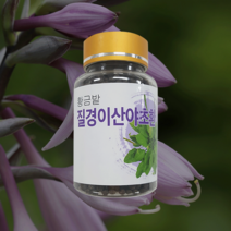 국내산 100% 질경이산야초환 100g, 1병