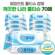 식약처 GMP 인증 깨끗한 나라 순수 물티슈 캡 70매 페퍼민트 대용량 저자극 두꺼운 약산성 안전한 티슈 물휴지 뮬티슈, 10팩