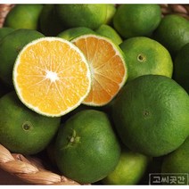 고씨곳간 제주 청귤(풋귤) 홀 - 냉동 생과, 1. 냉동청귤 홀 3kg, 1개