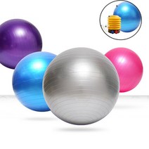 임산부 짐볼 발란스볼 하프 보수볼, 65cm_블루