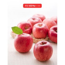 명품사과 부사 제수용 상등급 특대 5kg 신선과일 명절
