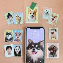 [1+1] 반려동물 증명사진 스티커 보정파일 무료제공, 4컷세트(4.5*6), 재단해주세요, (1+1)리뷰할게요