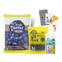 화분월드 정한 블루베리 (최적의 배양토) 12L, 12oz, 1개, 1개