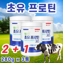 초유단백질 초유 프로틴 프로테인 동물성 식물성 단백질 우유맛 고칼슘 보충제 분리유 농축유청 단백 폴리덱스트로스 면역글로불린 lgG 280g, 3통