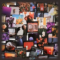 인스타 감성 실사 필름 사진 다꾸 조각 스티커팩 6종, 5.플라워 (SP-83), 선택:5.플라워 (SP-83)