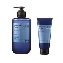려 자양 탈모전문케어 양양파도 샴푸 585ml + 트리트먼트 200ml, 단품
