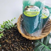 산꼴 깐다슬기 1팩(300g), 단품