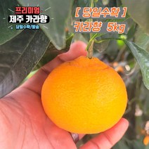당일수확 고당도 제주 카라향 가정용 3kg 5kg 10kg 제주도귤, 선택1. 혼합과(못난이포함) 5kg, 1개