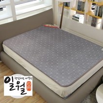 일월 투스파플러스 온수매트 23년형 당일배송, 더블