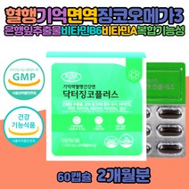 뇌 집중력 혈관 영양제 은행잎 플라보놀 징코 오메가3 항산화케어 수험생 고시생 공부 체력 영양제 은행잎추출물 기억력감퇴 은행잎 효능 항산화 GINKGOBILOBA 플라보놀배당체 브레인 케어 푸드 비타민B아연 식물성스테롤 태아신경 상피 세포 보호 발달