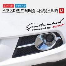 중형차 서킷 경주용 튜닝 레터링 스티커 자동차용품 튜닝스티커, 1개