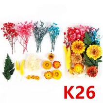 비누 양초 만들기용 압축 건조 꽃 안개꽃 홈 데코, K26
