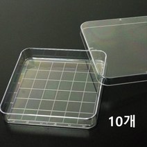 큰눈금 과학실험 세포배양 사각 페트리디쉬 10개 검출 샬레 생물 수업소품 원리