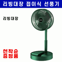 (주문폭주 당일출고) 1+1 다용도 접이식 선풍기 휴대용 캠핑용 차량용 탁삭용 USB 충전식, 화이트+그린 (총2개)