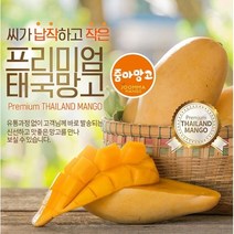 태국망고 항공직송 바로배송 프리미엄 선물세트, 태국망고 선물세트 M 6개 [2.1kg]