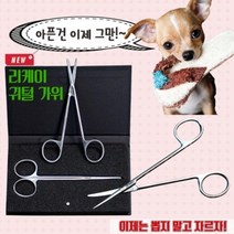 푸들 슈나우저 귀털 안전 제거 가위 스타일링 털관리 털엉킴해결 셀프미용 반려견 곰돌이컷 가성비 절살력
