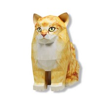 [나알] STEAM 소품 노르웨이 숲 고양이 만들기 STEAM