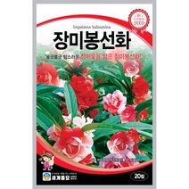 장미 봉선화 씨앗 야생화 종자 꽃씨 꽃 씨 정원 20알