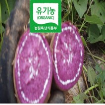 [ 해야농장 ] 특품 유기농자색 해수 고구마 친환경 3kg. 5kg 10kg KBS 한국의밥상방송 481회 인간극장방송 등, 1box, 유기농 자색 고구마 꼬맹이 5kg