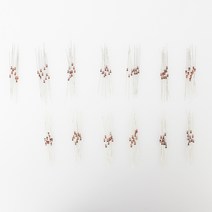 12종 제너 다이오드 패키지 BNC-KIT-Z001 DM700, 1개
