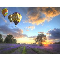 달항아리그림 사진인화 GATYZTORY 40x50cm Frameless 그림 자연 풍경 홈 장식 DIY 독특한 선물, 17 454_06 60x75cm no frame