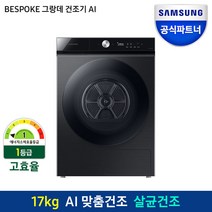 삼성전자 비스포크 그랑데 건조기 AI 17kg DV17A9720BV