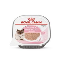 로얄캐닌 마더앤 베이비캣 무스트레이 캔 100g, 5개