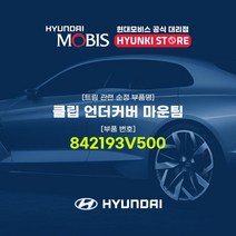 현대모비스 클립 언더커버 마운팀 (842193V500)