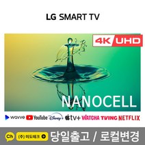 LG 75인치 나노셀 4K 스마트 UHD TV 75NANO75 빠른설치, 2. 수도권지역 벽걸이 설치 요청
