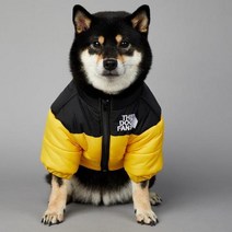 2023 SUPREPET패딩 개 겨울 옷 따뜻한 방풍 솔리드 코트 코튼 디자이너 대형 강아지 액세서리, YELLOW+5XL