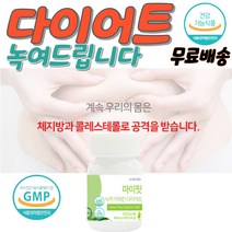 녹차카테킨다이어트 카테킨다이어트 5일다이어트 직장인선물 피하지방빼는법 체지방분해 다이어트제품 마이핏 카테킨 물다이어트 한달다이어트 다리살빼기 단기다이어트 한달다이어트 허벅지살빼기