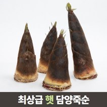삼시세끼연구소 최상급 담양 삶은 죽순 죽순채 생죽순 맹종죽 5kg 10kg, 3.삶은 죽순채 900g