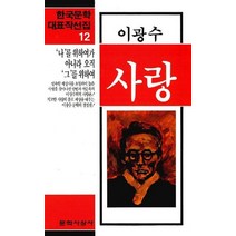 사랑(한국문학대표작선집 12), 문학사상사, 이광수 저