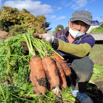 제주흙 햇 유기농 무농약 친환경 당근 3 5 10 kg, 10kg