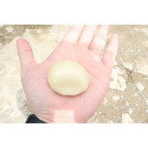 국산 코끼리마늘 토종마늘 홍산 남해마늘 대왕마늘 1kg, 코끼리마늘종자1kg