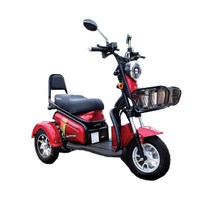 삼륜 세발오토바이 전동스쿠터 2인가능 EG-150