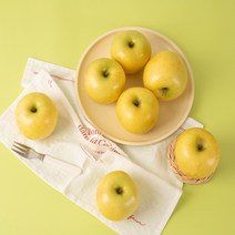 2023 새콤달콤 시나노 골드 스위트 사과 노란 황금사과 황옥, 가정용, 5kg, 소꼬마과 29-31과