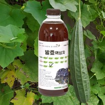 자연미가 수세미 효소액 1000mlx1병 /ss 자연숙성 발효액100%, 1000ml x1병